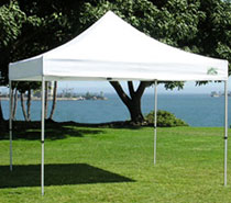 Pop up Canopy